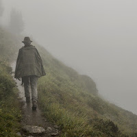 Solitario nella nebbia di 