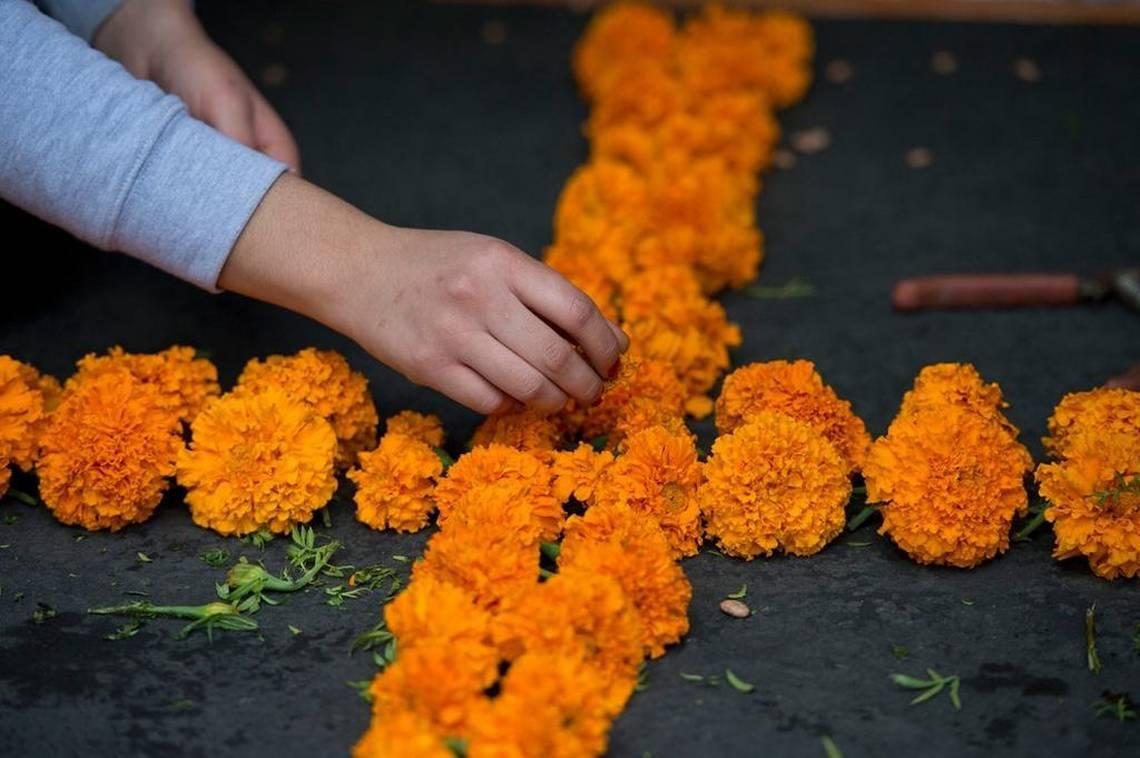 Marigolds play large and fragrant role during Day of the Dead celebration |  The Sacramento Bee