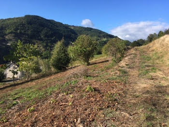 terrain à Entraygues-sur-Truyère (12)