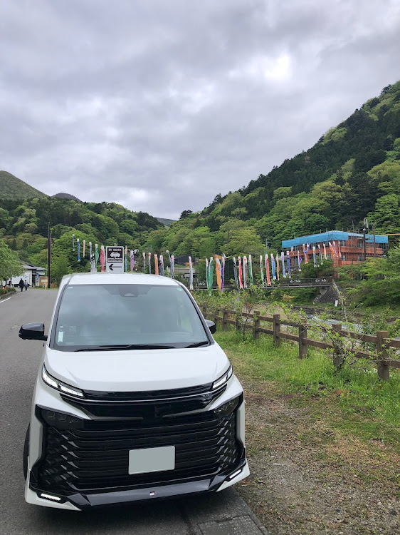 ヴォクシーの5月もよろしくお願いします・いつもいいね👍コメントありがとうございます🐉・ドライブに関するカスタム事例の投稿画像1枚目