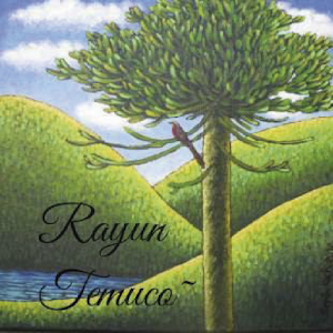 Rayun Temuco App logo