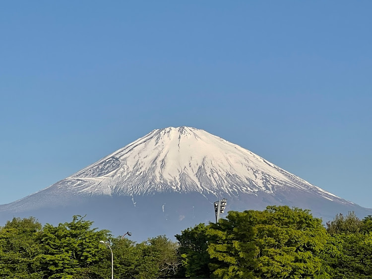 の投稿画像4枚目