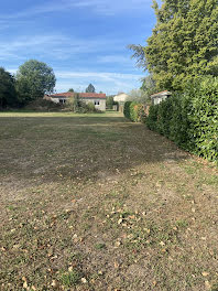 terrain à Saint-Romain-le-Puy (42)