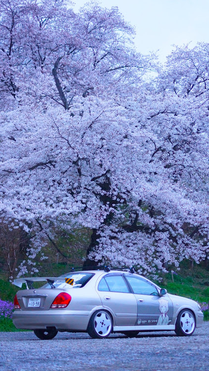 の投稿画像4枚目