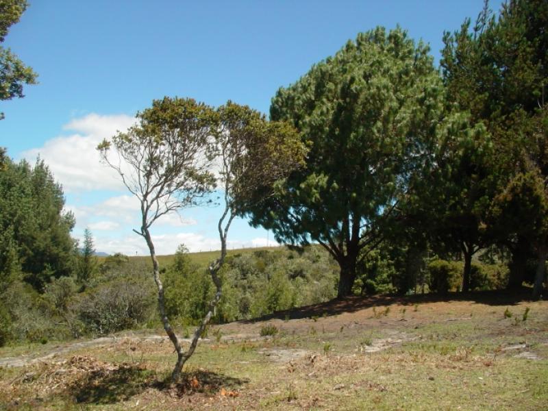 Lote En Venta - Sopo, Sopo