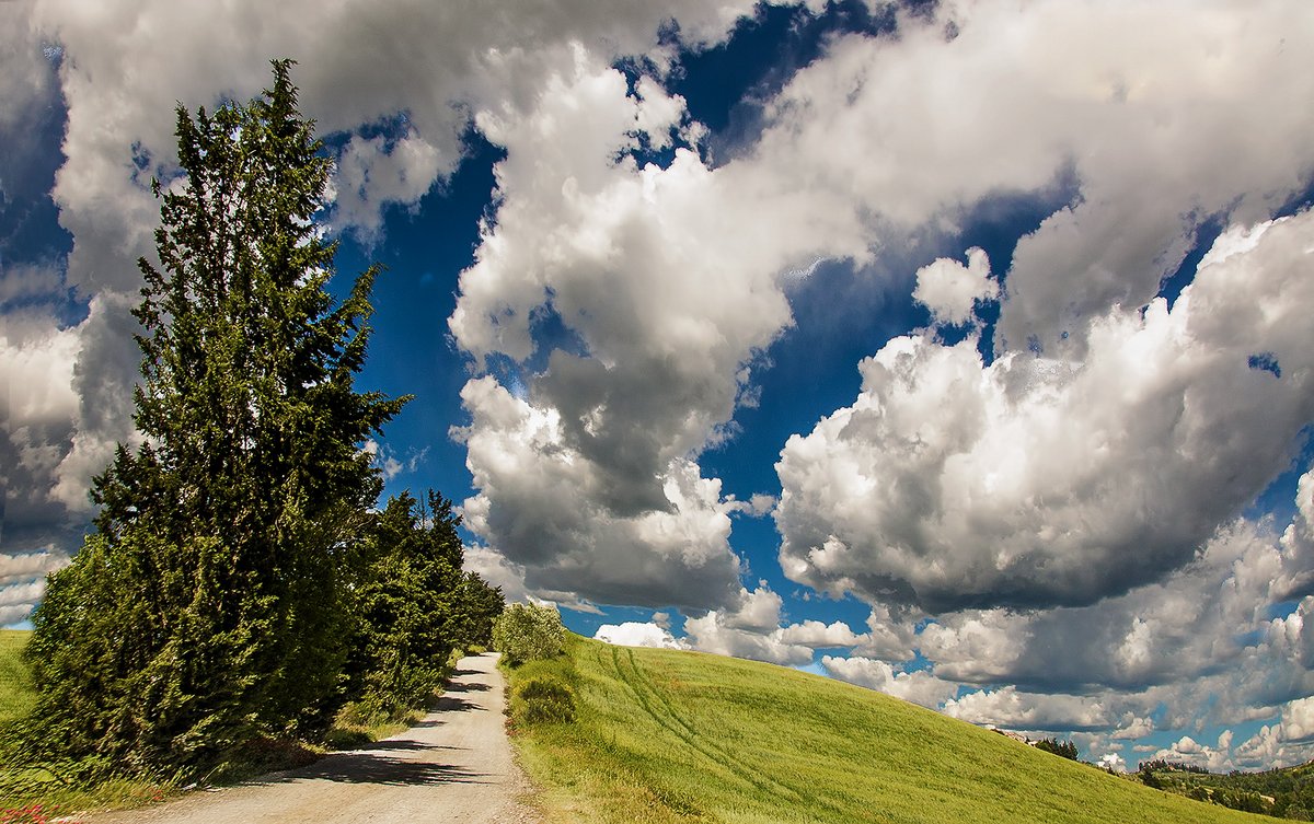 Sotto il cielo della Toscana di  cristina masoni