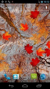 Download Autumn Maple Live Wallpaper apk