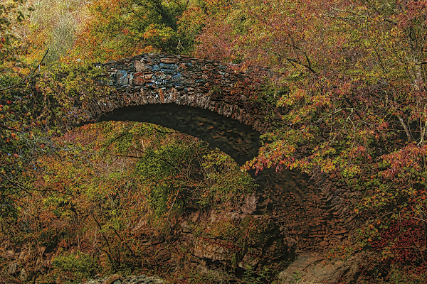 Il ponte per il foliage di DrHouse1972