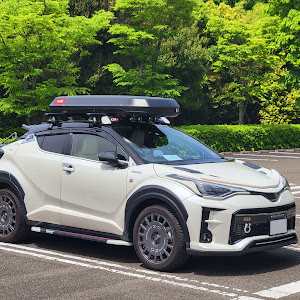 C-HR ZYX11