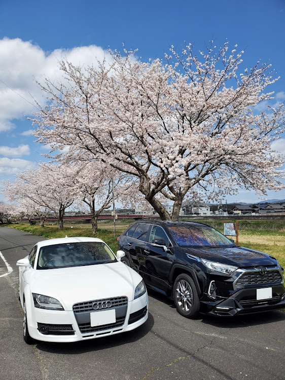 RAV4の愛車と桜・ありがとう相棒に関するカスタム事例の投稿画像5枚目