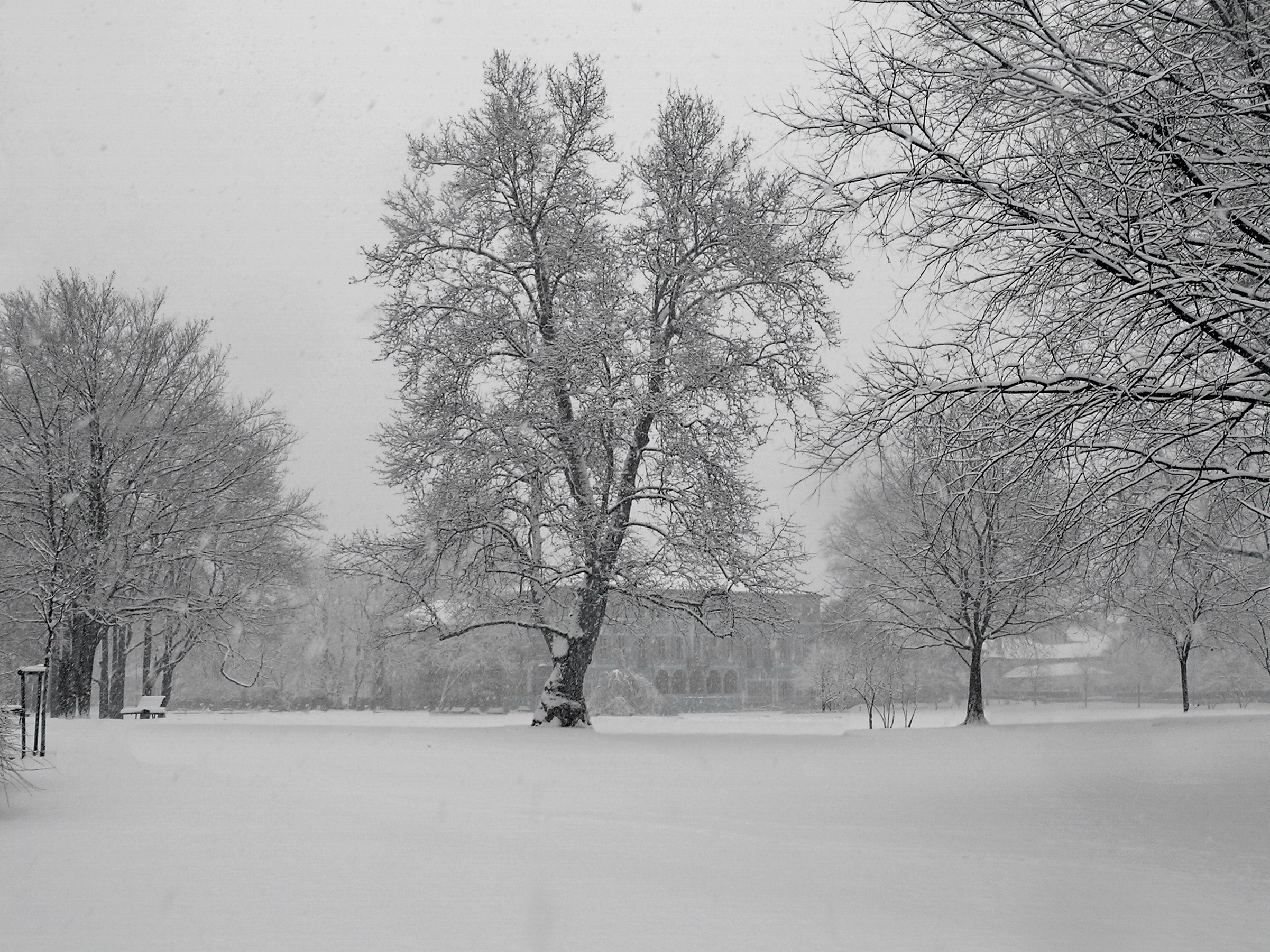 Nevica sul Parco Litta di -Os-