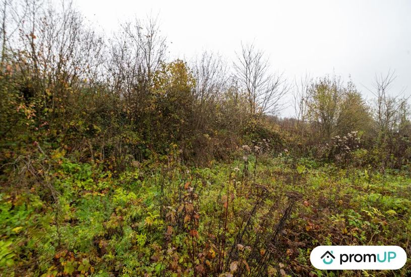  Vente Terrain à bâtir - 3 030m² à Haraucourt (08450) 