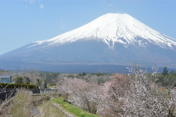 ミニ ハッチバックのいつもいいね＆コメントありがとうございます・黄砂まみれ・スタバ新作・山中湖花の都公園・グータンに関するカスタム事例の投稿画像7枚目