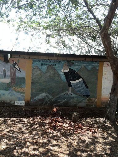 Mural Condor
