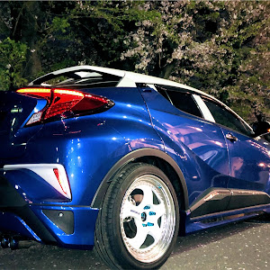 C-HR ZYX10