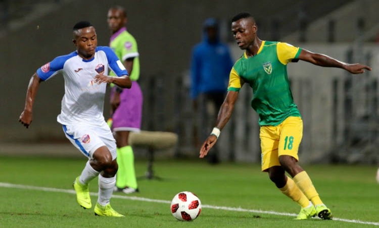 Tebogo Tlolane of Chippa United and Knox Mutizwa of Golden Arrows during the Absa Premiership match at Nelson Mandela Bay Stadium on February 22, 2019 in Port Elizabeth, South Africa.