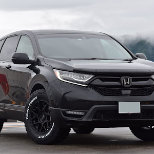 CR-V RT6