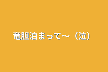 竜胆泊まって〜（泣）