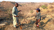 Mapungubwe National Park offers great walking terrain. 