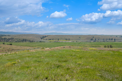Land purchase in Florence (United States) - Vast green fields under cloudy sky