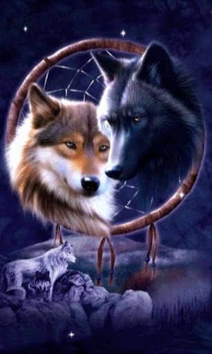 Wolves Dreamcatcher LWP