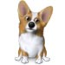 Corgi-Break chrome extension