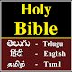 Download Holy Bible in (Telugu + English + Tamil + Hindi) For PC Windows and Mac 1.0