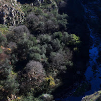 Fiume di montagna di 