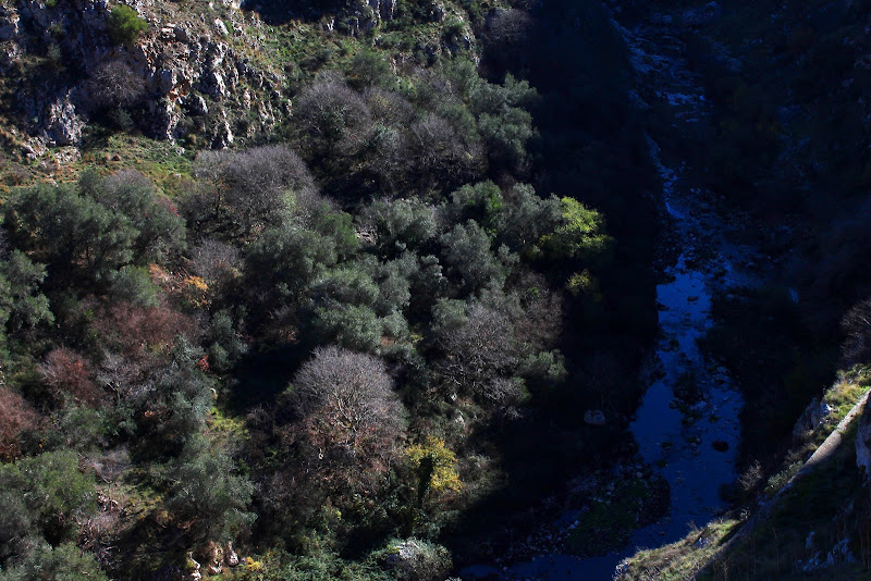 Fiume di montagna di Bluecolor