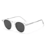 Black And Grey Lens