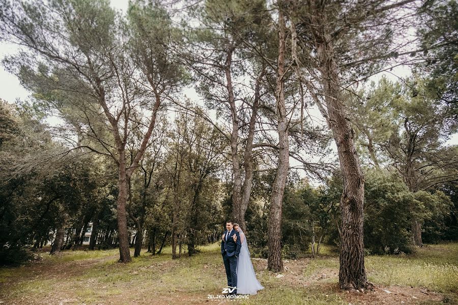 Hochzeitsfotograf Zeljko Vidinovic (zvphoto). Foto vom 21. Juli 2019