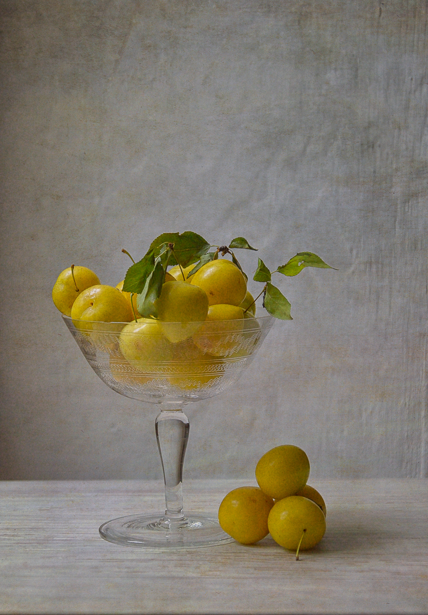 Yellow plum di Erato