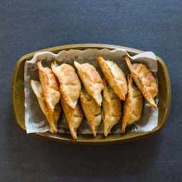 Pan Fried Beef Dumplings