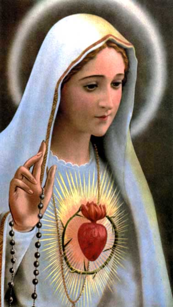 Virgin Mary Wallpaper new HD Screen 3