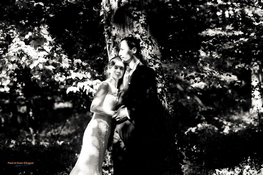 Photographe de mariage Stéphane Jouanne (stephanejouann). Photo du 8 juin 2016