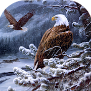 Eagle Wallpaper  Icon