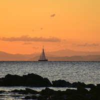 veleggiando verso l'Asinara di 