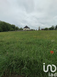 terrain à Naveil (41)