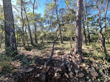 terrain à Le Thoronet (83)