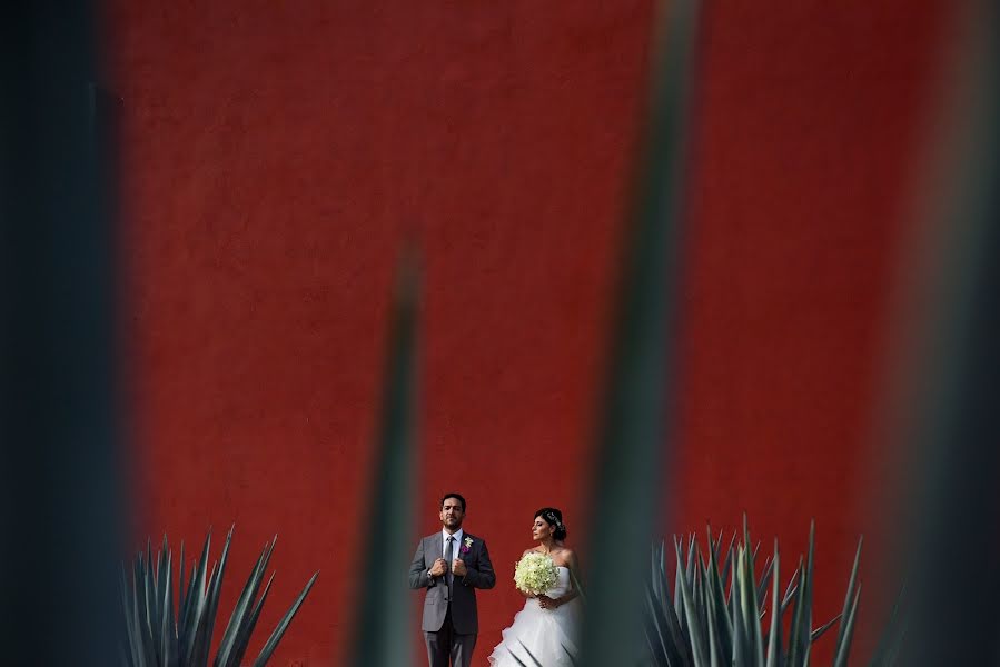 Fotógrafo de casamento Petul Angeles (petulangeles). Foto de 10 de fevereiro 2016