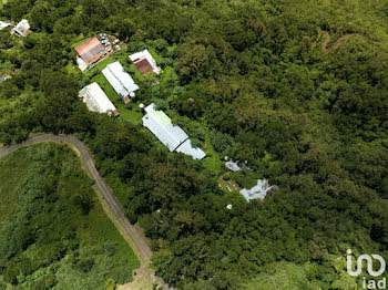 propriété à Bois-de-Nefles-Saint-Denis (974)