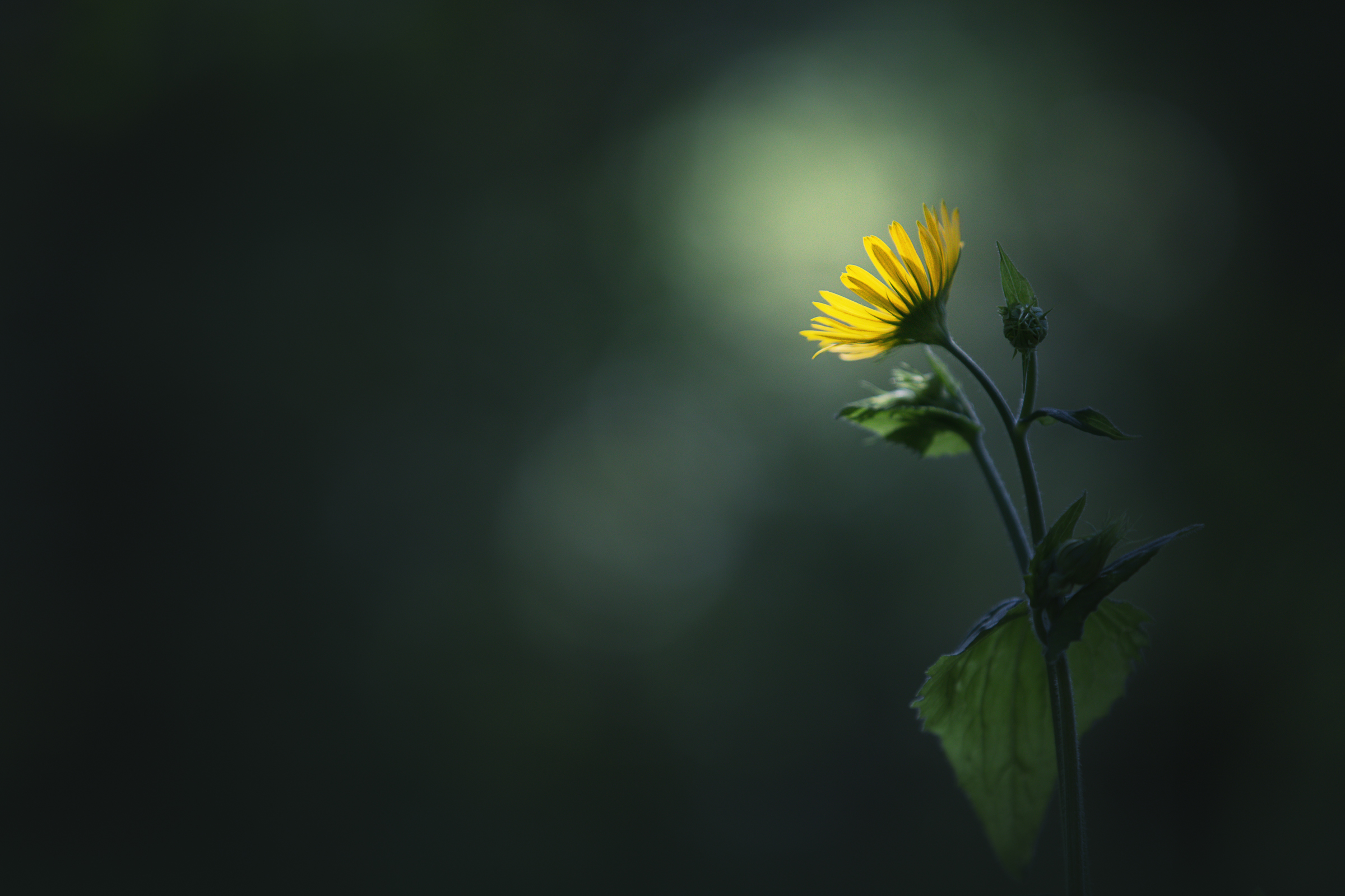 Sole di primavera di Laura Benvenuti