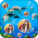 Cover Image of Descargar Dolphins Bubble Live Wallpaper 1.0 APK