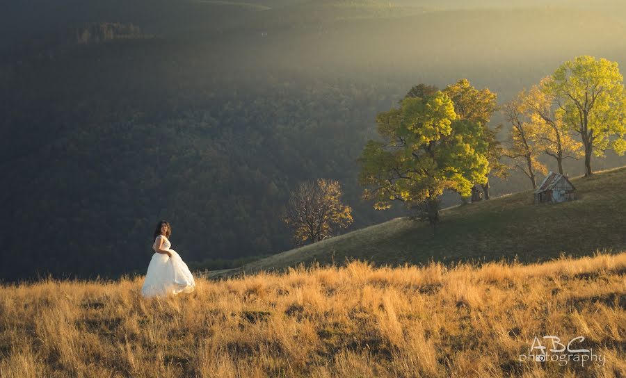 Fotógrafo de bodas Bogdan Citescu (abcfotografie). Foto del 17 de octubre 2015