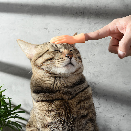 Title 4, Vibrato Cat Toys Featuring Celebrity Finger Set...