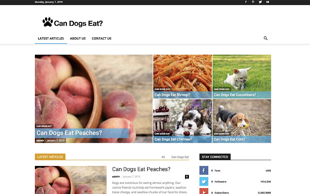 Can Dogs Eat ____? chrome extension