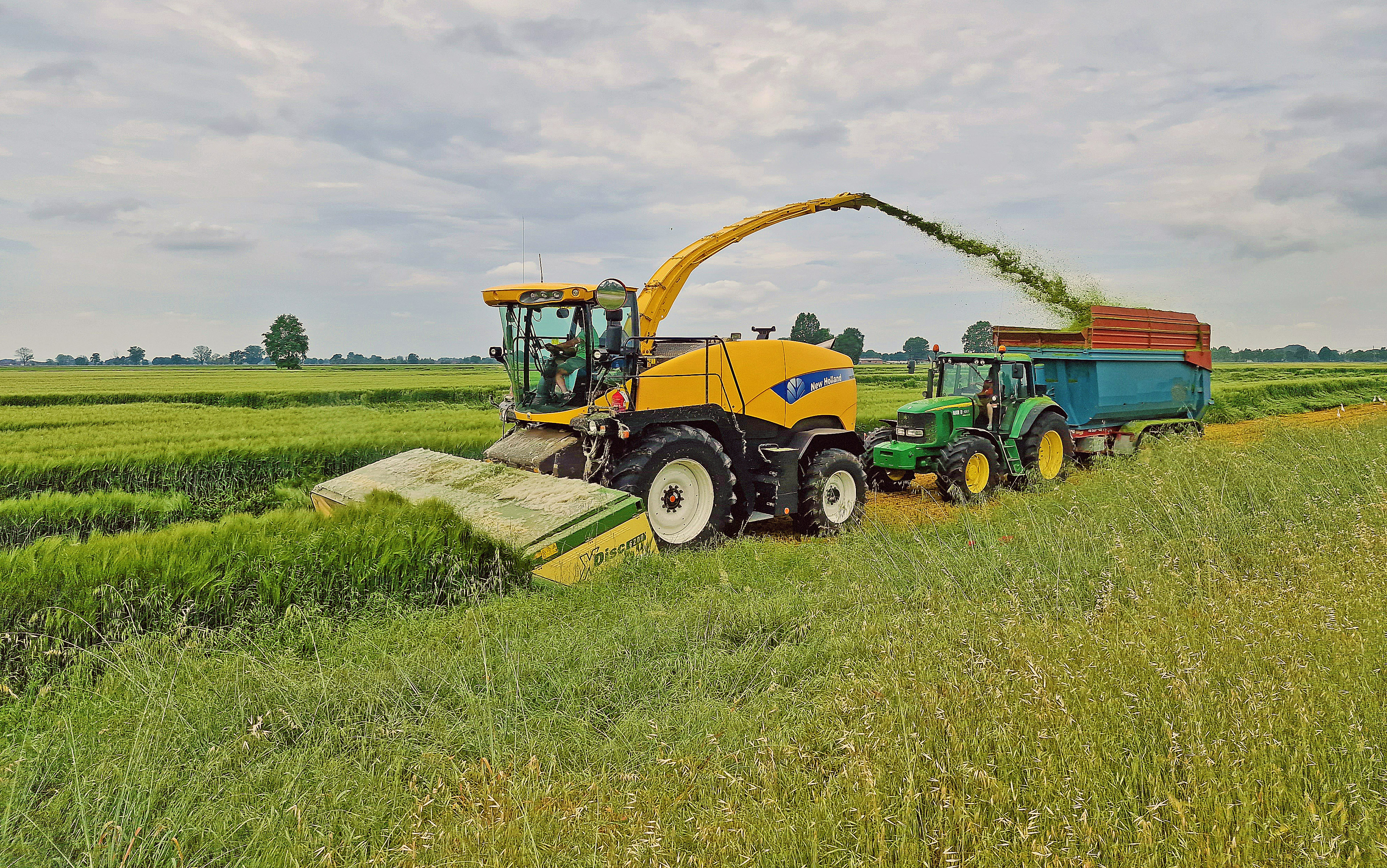 Lavori agricoli di Daimon