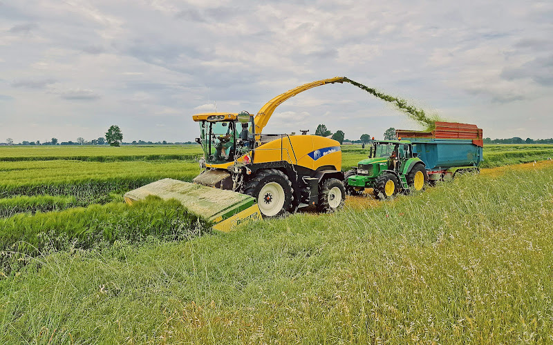 Lavori agricoli di Daimon