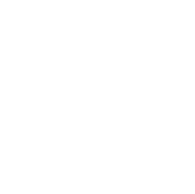 Code.org Logo in White