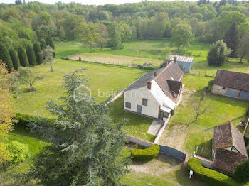 maison à Coullons (45)